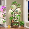 image:imagePlant Stand with Grow Lights 2Pack 61 Tall Indoor Plant Shelf with MultiColor Full Spectrum LED Grow Lights and 360 Lockable Wheels 10Tier TreeShaped Decorative Plant Rack Set of 2 for Living Room Balcony amp Office White and OakBlack