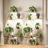 image:imagePlant Stand with Grow Lights 2Pack 61 Tall Indoor Plant Shelf with MultiColor Full Spectrum LED Grow Lights and 360 Lockable Wheels 10Tier TreeShaped Decorative Plant Rack Set of 2 for Living Room Balcony amp Office White and Oak2Pack White