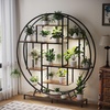 image:imageVINGLI Plant Stand Indoor with Grow Light 63 Inch Tall Lighted Plant Shelf Indoor with 5 LED Light StripsLarge Tiered Plant Stand for Indoor Growing FullMoon Round Metal Flower Display Shelves Modern Decorative Plant Rack for Living Room Balcony Black