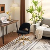 image:imageVINGLI Modern Teddy Fluffy Small Office ChairCute Desk Chair with WheelsGold BaseStuds Comfy Armless Swivel Vanity Task Chair for WomenGirlKids Nail Tech Chair for BedroomSmall SpaceWhiteBlack