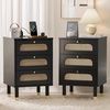 image:imageVINGLI Night Stand Set of 2 Rattan Nightstands with Charging Station 1772 W Boho Wood Nightstand for Bedroom Bed Side Table with Charging Station Wooden Night Stands Oak Real Rattan End TableBlack